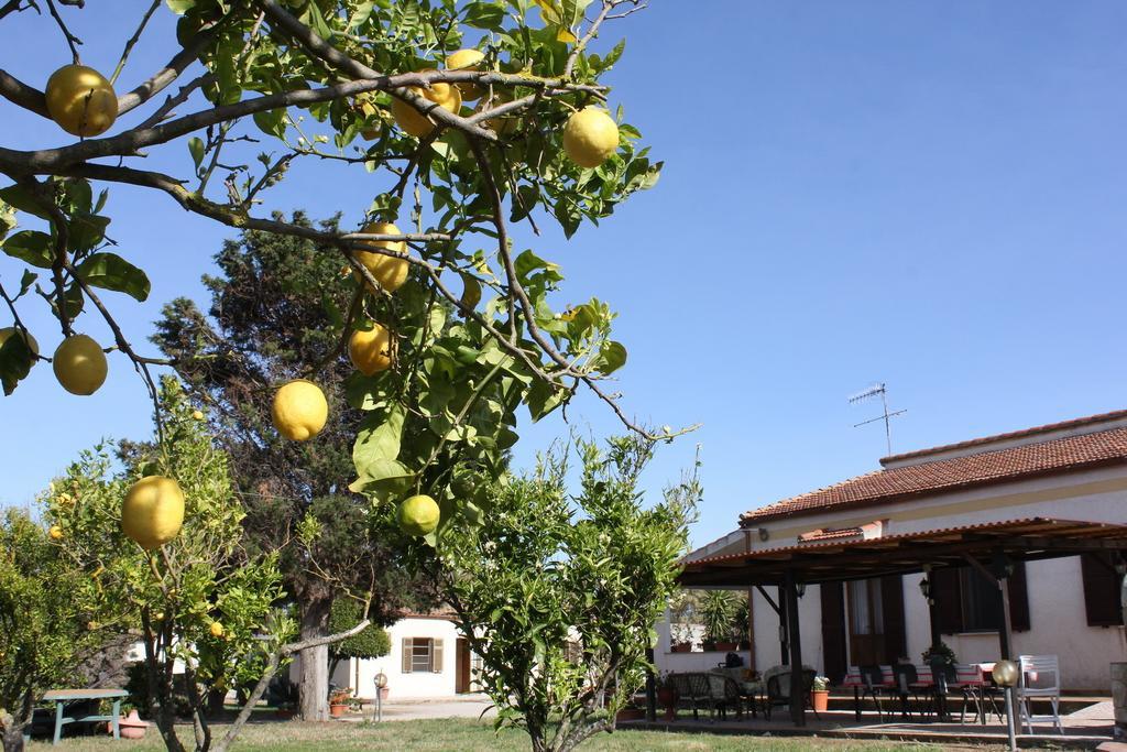 Rita B&B Sea Sun And Nature Santa Maria la Palma Pokój zdjęcie